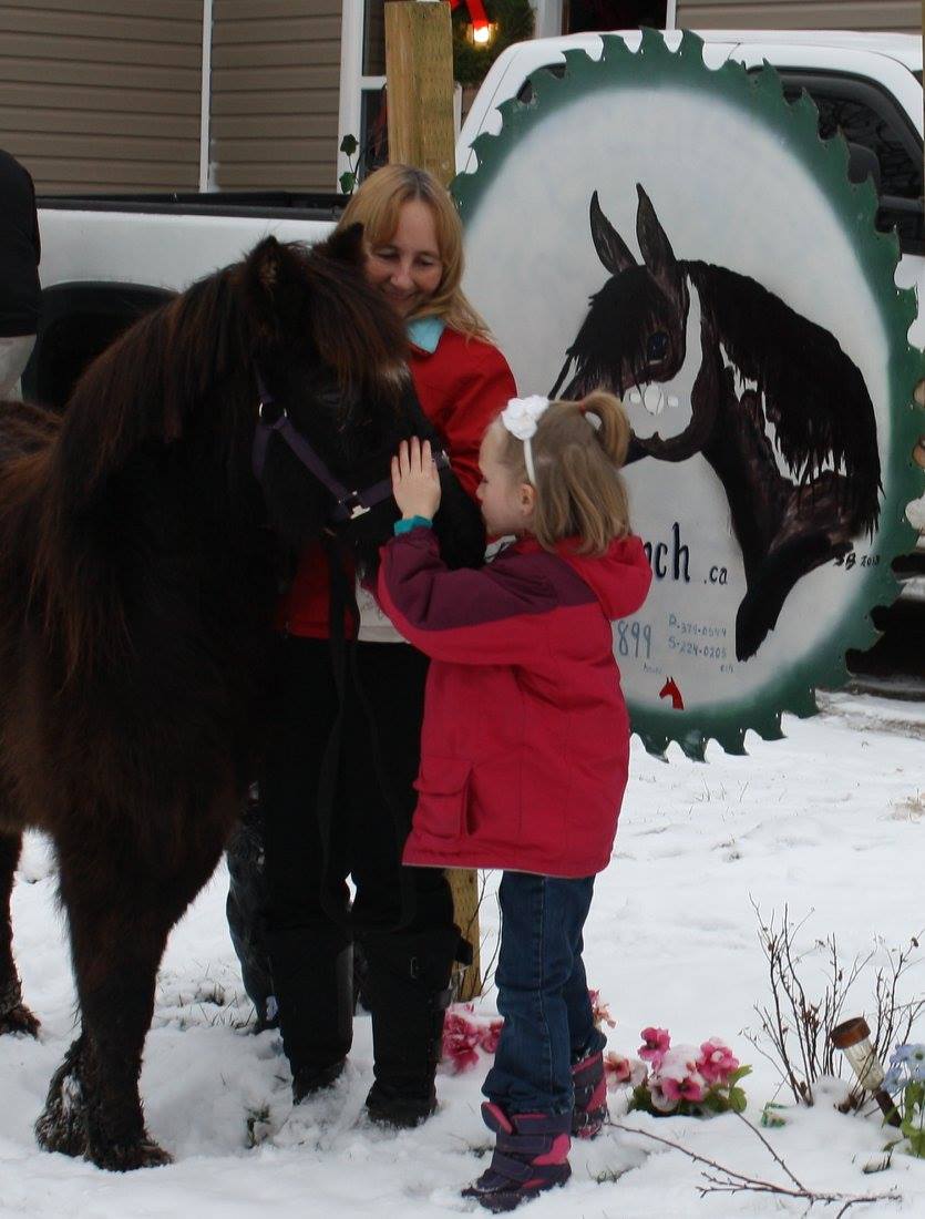 Fundraiser by Melissa Reid : Raise the barn