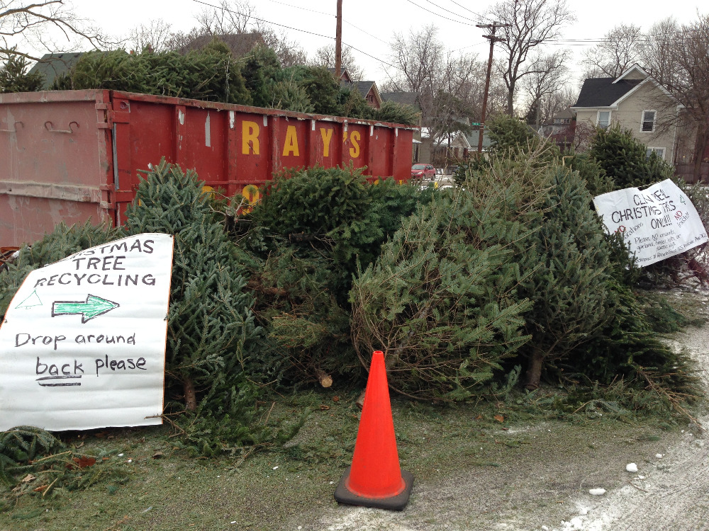 fundraiser by renee sweany christmas tree recycling in indy fundraiser by renee sweany christmas tree recycling in indy