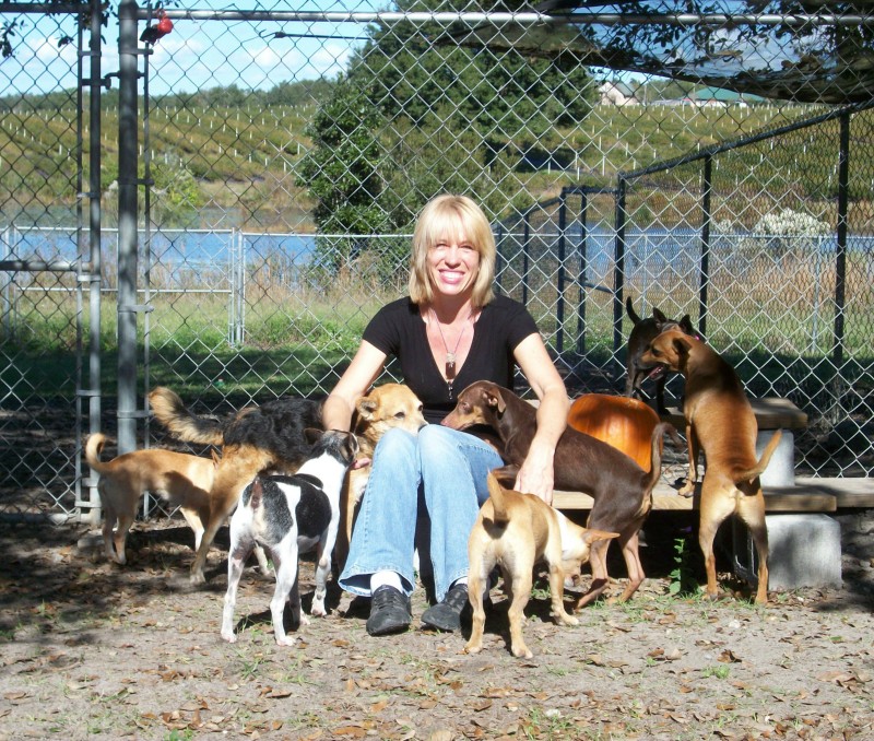 A Forever Home Animal Rescue by Linda Rock - GoFundMe