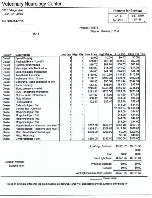 Fundraiser by Jaime Za Diesel needs life saving surgery